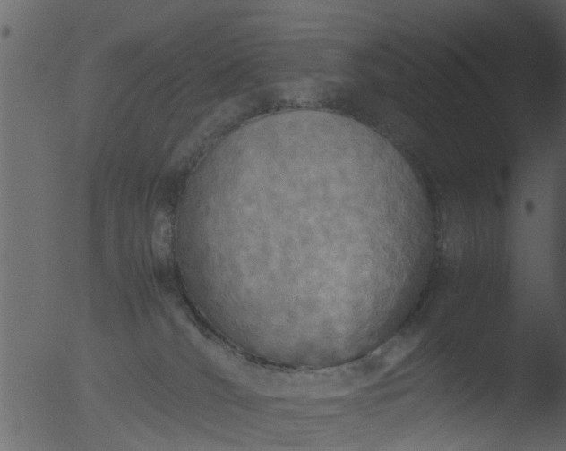 X0000053070036200507181638