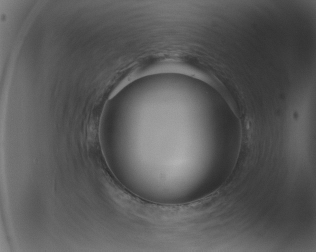 X0000053070037200507181638