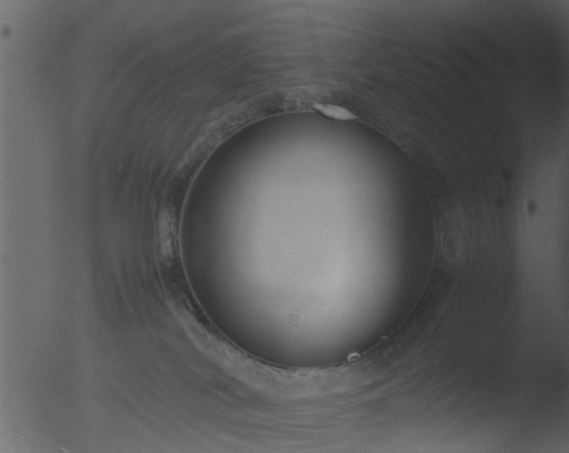 X0000053070038200507181638