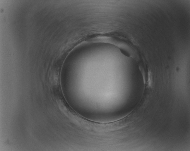 X0000053070039200507181638