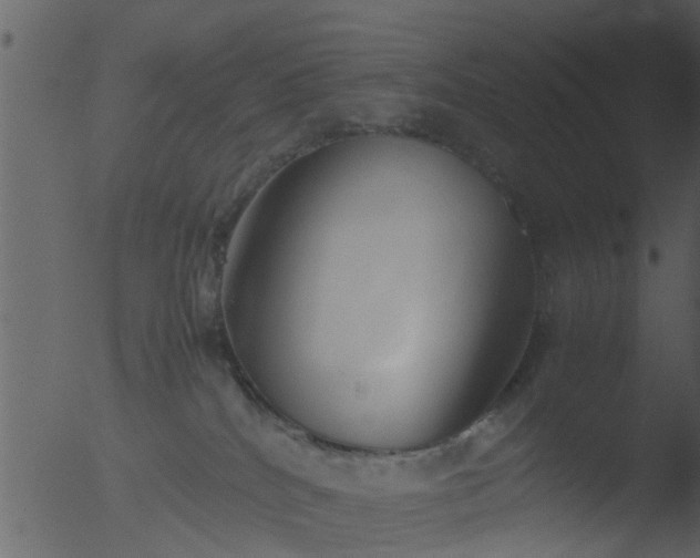 X0000053070040200507181638