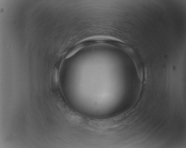 X0000053070041200507181638