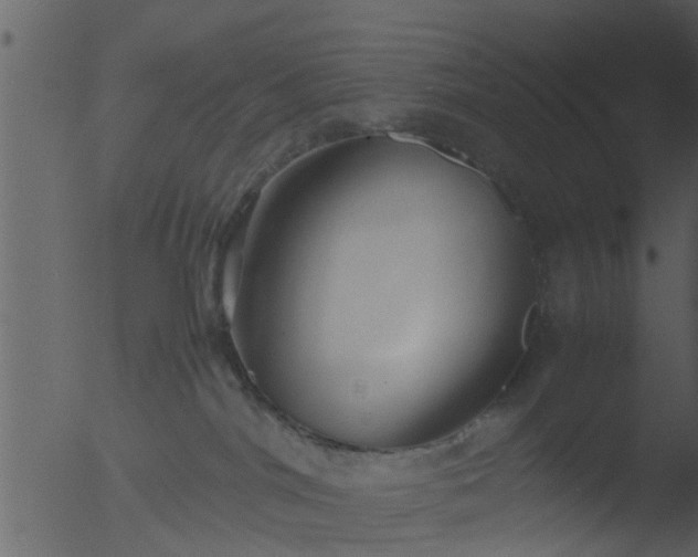 X0000053070044200507181638