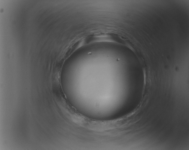 X0000053070045200507181638