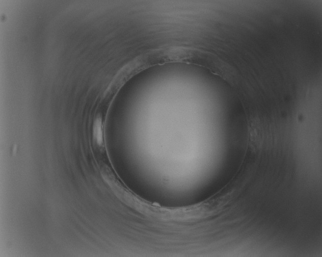 X0000053070046200507181637