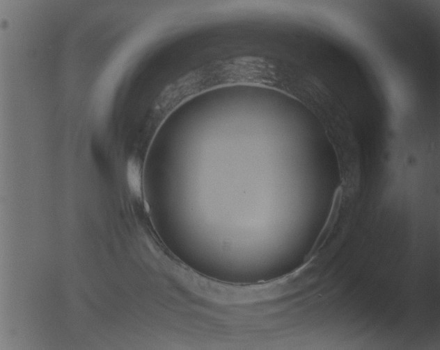 X0000053070047200507181637