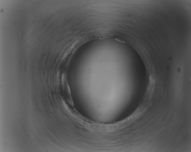 X0000053070048200507181637