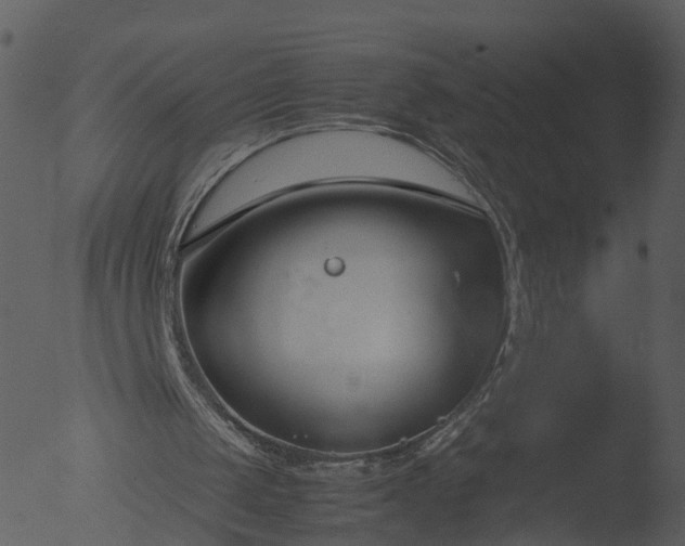 X0000053070049200507181637