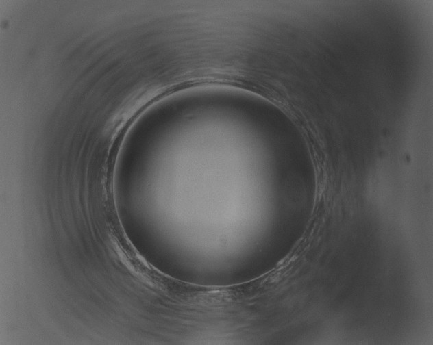 X0000053070050200507181637