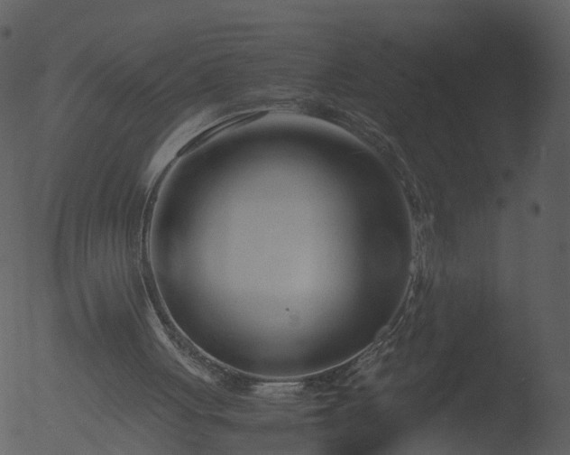 X0000053070051200507181637