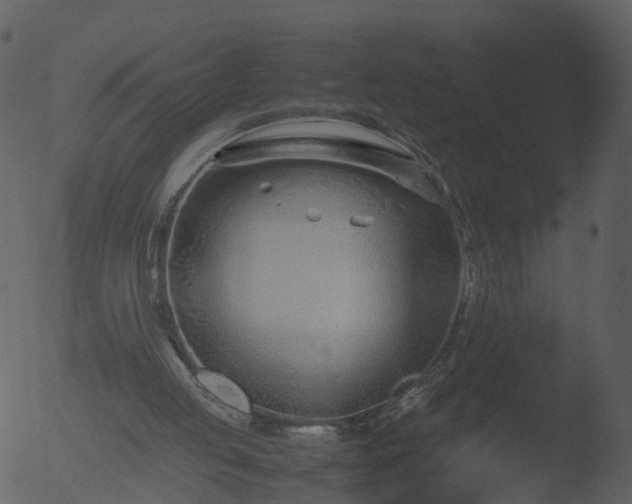 X0000053070053200507181637