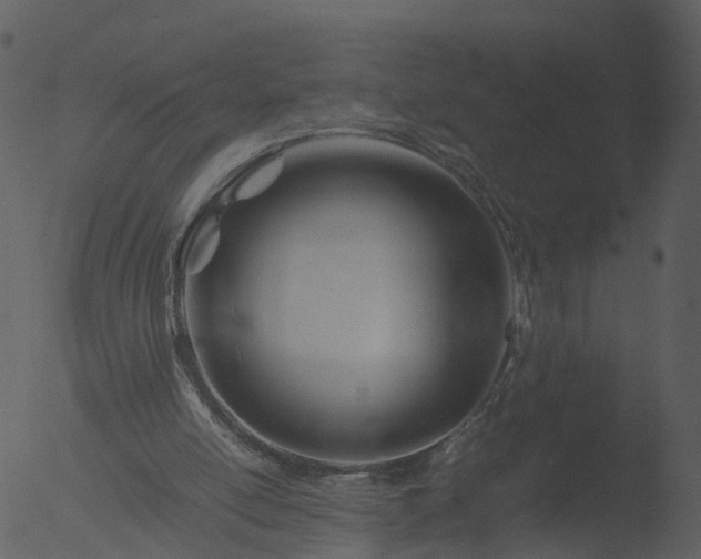 X0000053070054200507181637