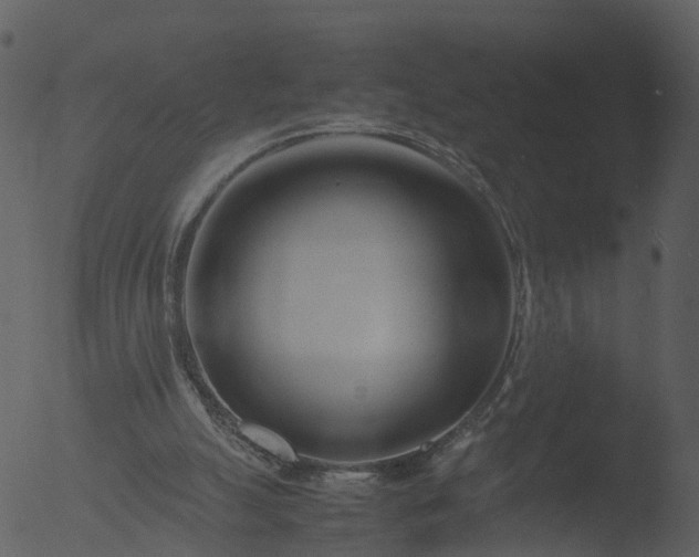 X0000053070055200507181637