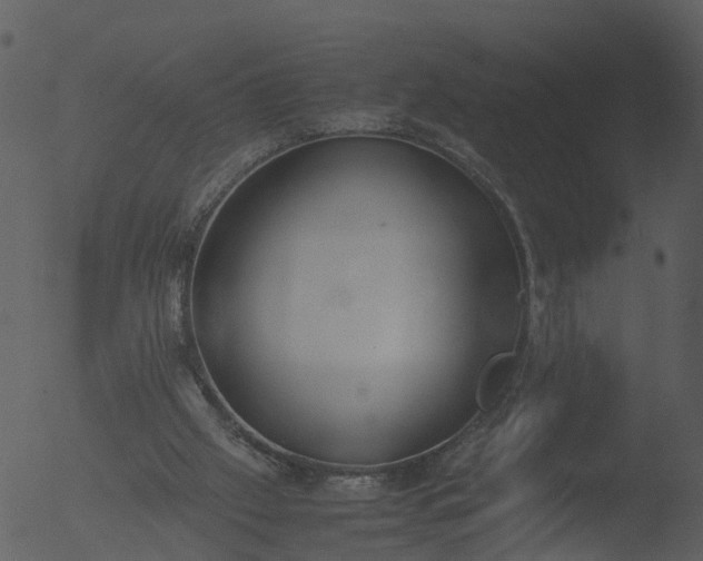 X0000053070057200507181637