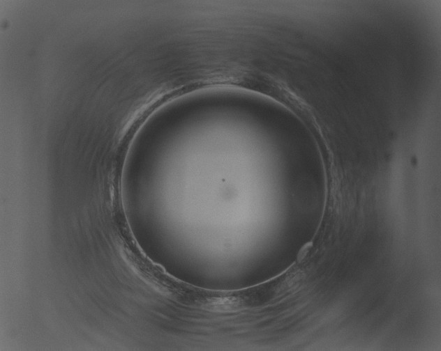 X0000053070059200507181637