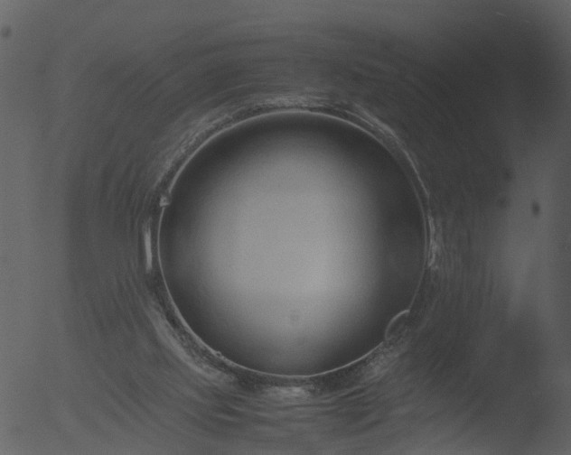 X0000053070061200507181637