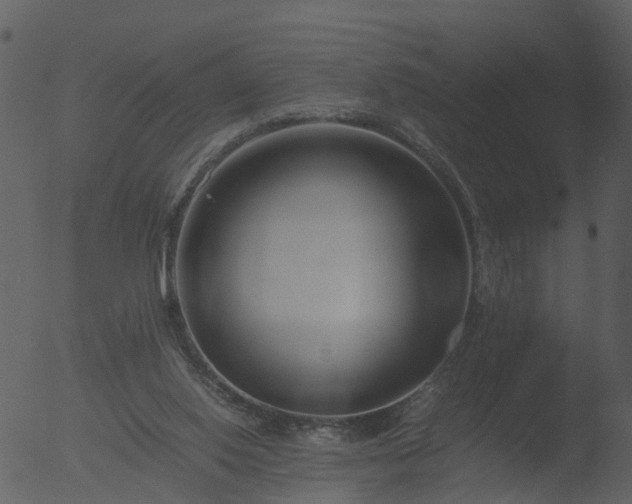 X0000053070062200507181637