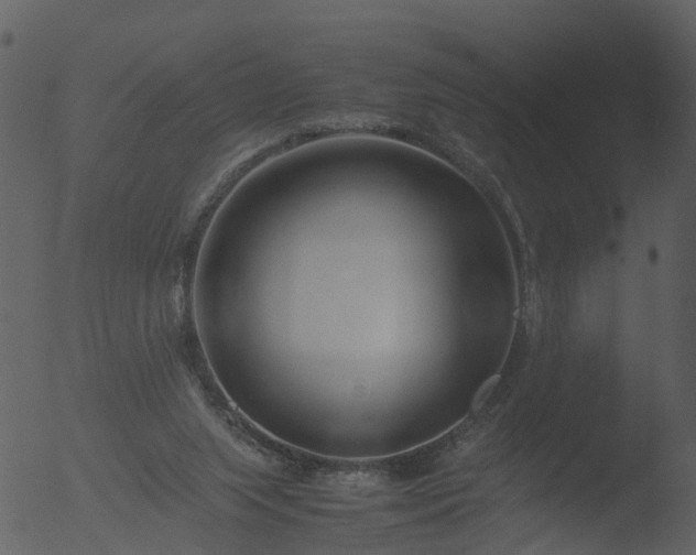 X0000053070063200507181637