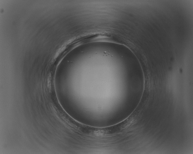 X0000053070064200507181637