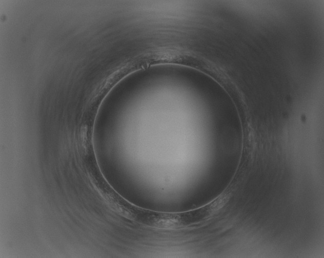 X0000053070066200507181637