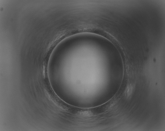 X0000053070067200507181637