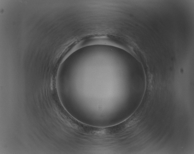 X0000053070068200507181637