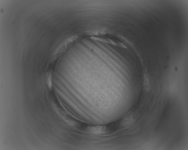 X0000053070069200507181637