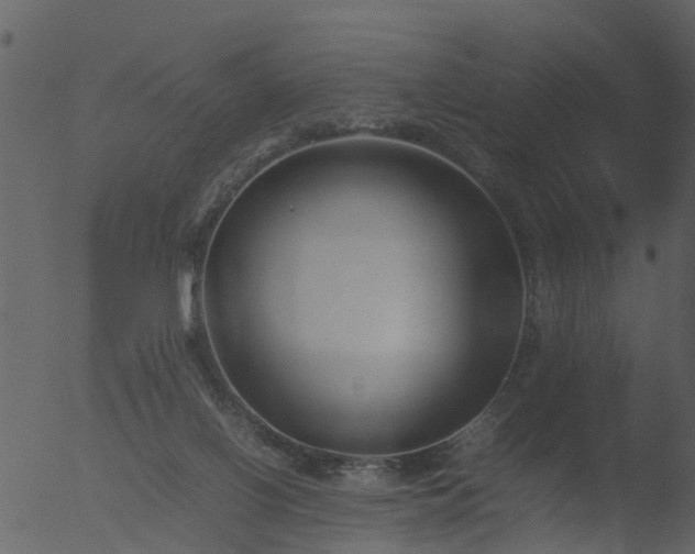 X0000053070070200507181637