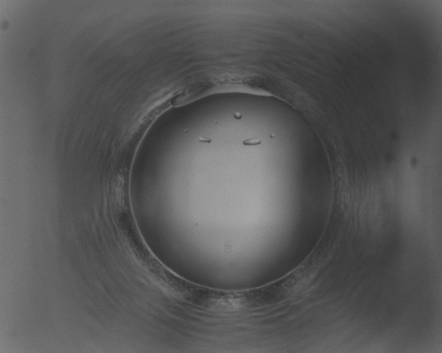 X0000053070071200507181637