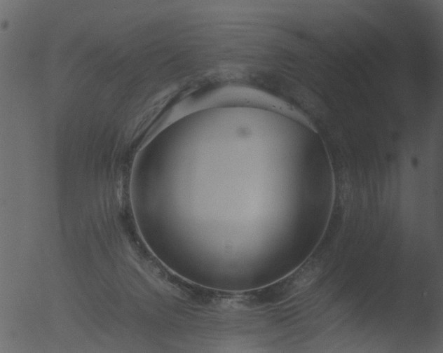 X0000053070072200507181637