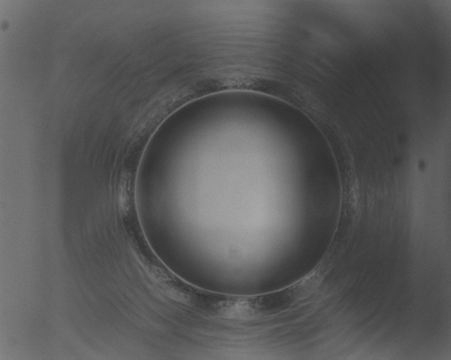 X0000053070074200507181637