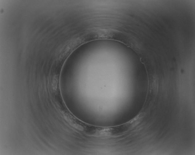 X0000053070078200507181637