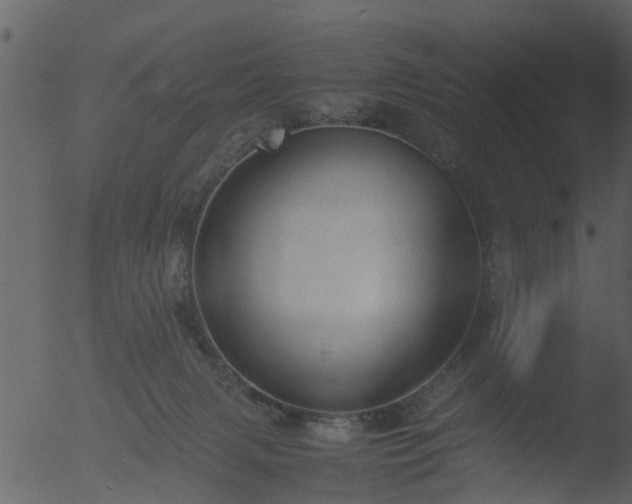 X0000053070079200507181637