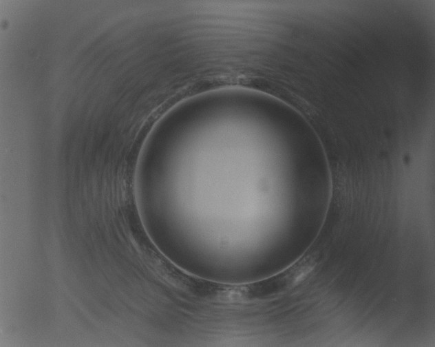 X0000053070080200507181637