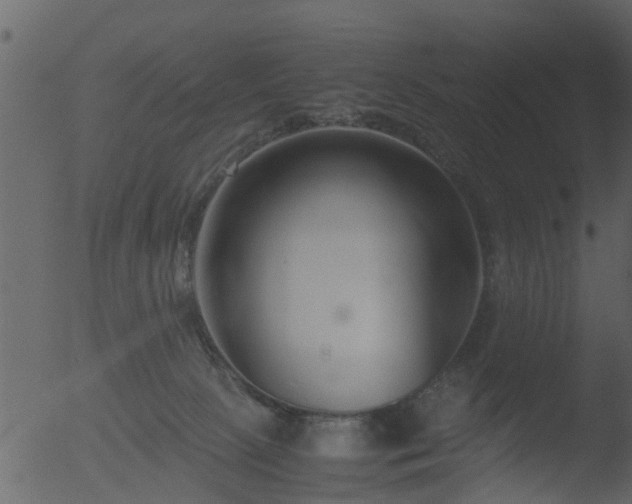 X0000053070081200507181637