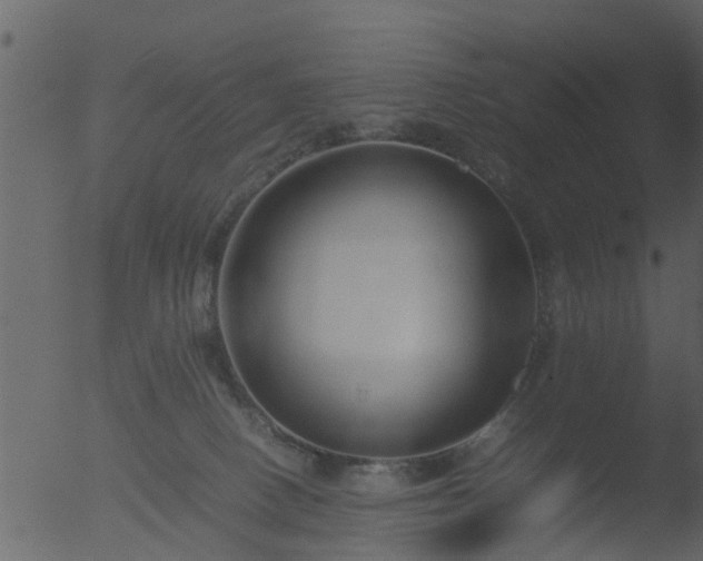 X0000053070082200507181637