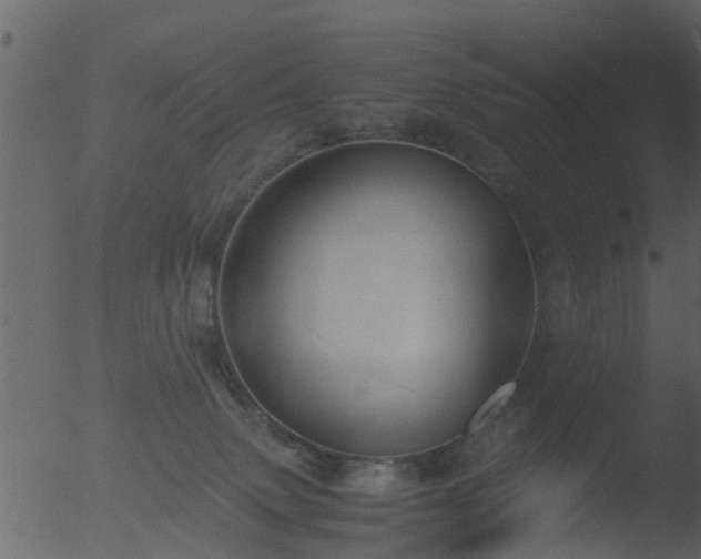 X0000053070083200507181637