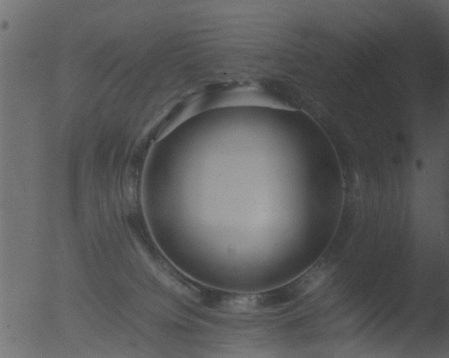 X0000053070084200507181637