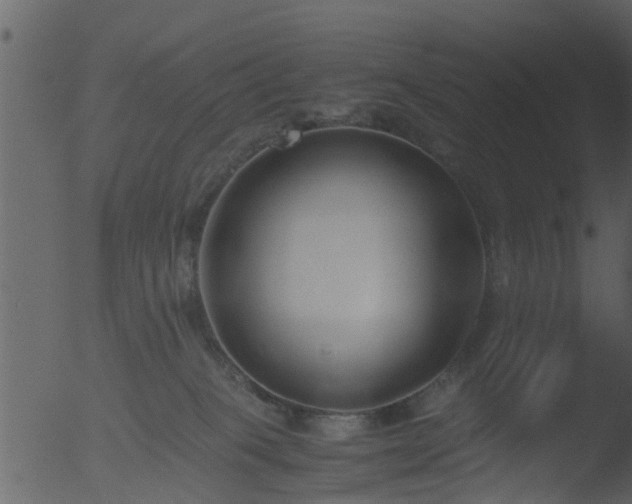 X0000053070085200507181637