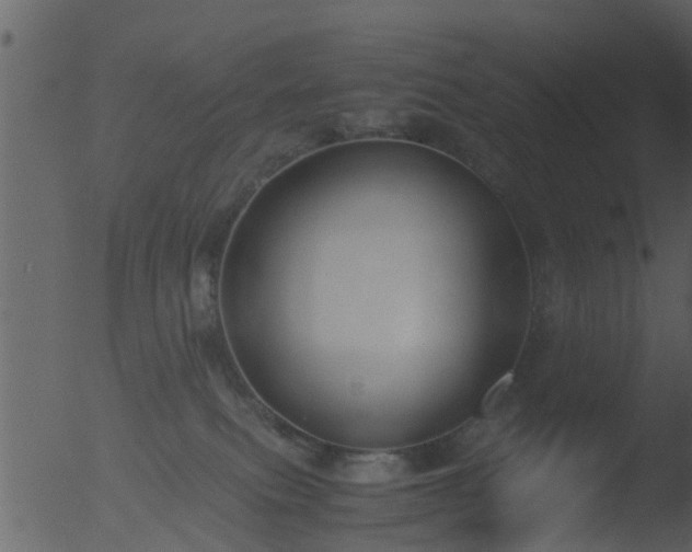 X0000053070087200507181637