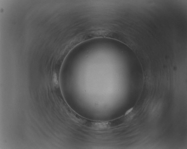 X0000053070089200507181637