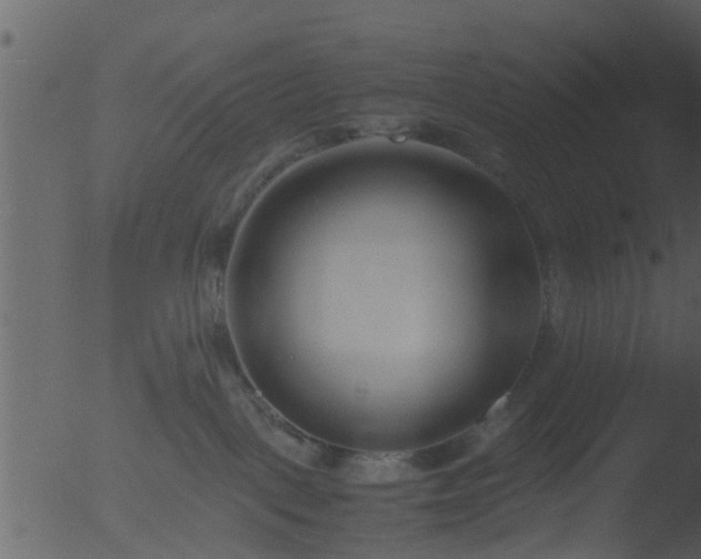 X0000053070093200507181637