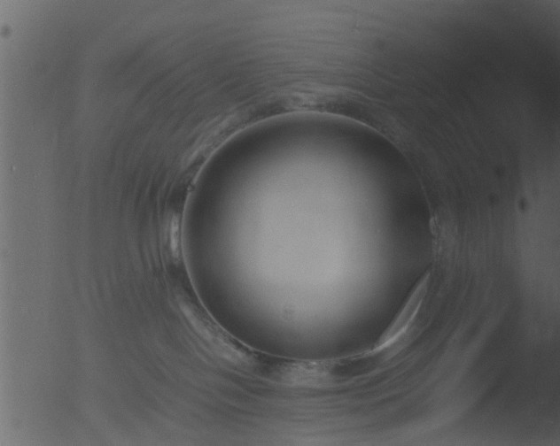 X0000053070094200507181637