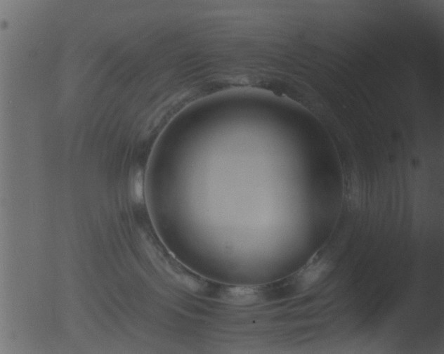 X0000053070095200507181637