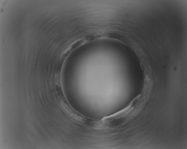 X0000053070096200507181637