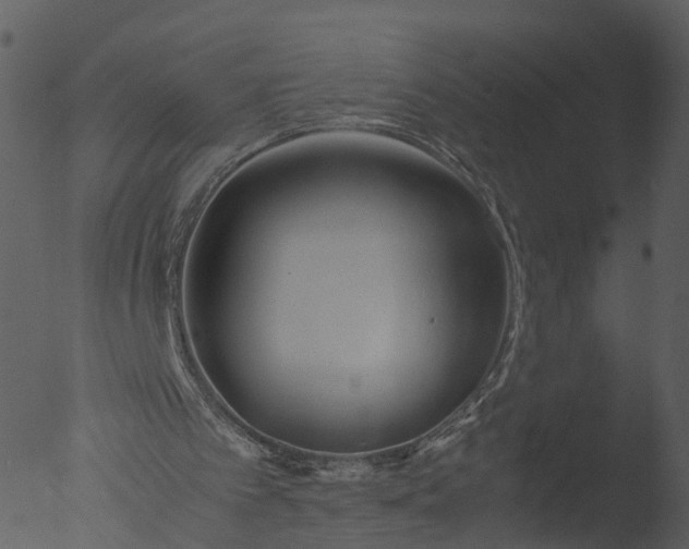 X0000053070097200507181637