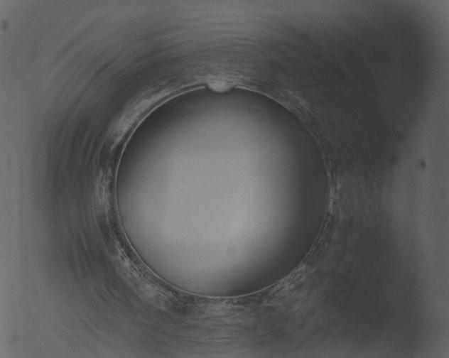 X0000053070098200507181637