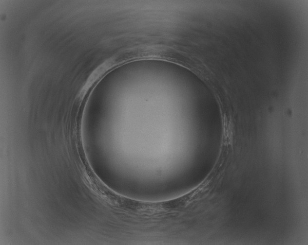 X0000053070099200507181637