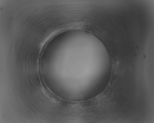 X0000053070100200507181637