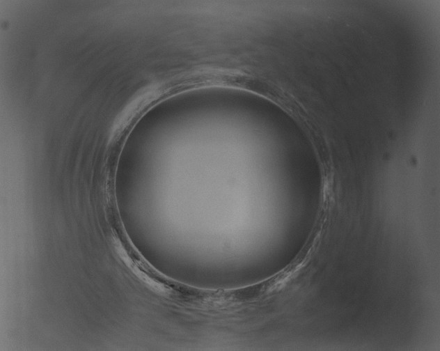 X0000053070101200507181637